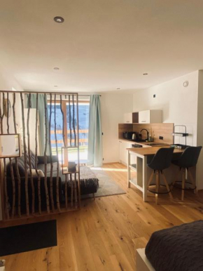 Modernes 1-Zimmer-Appartement